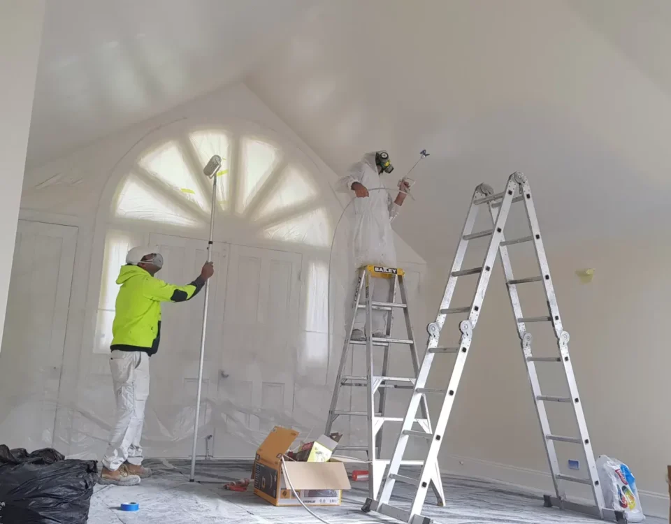 Painting Renovation Services